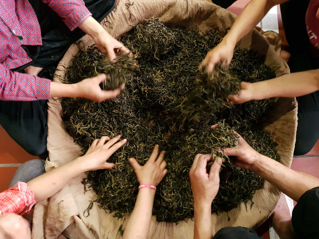 Loose leaf tea making process