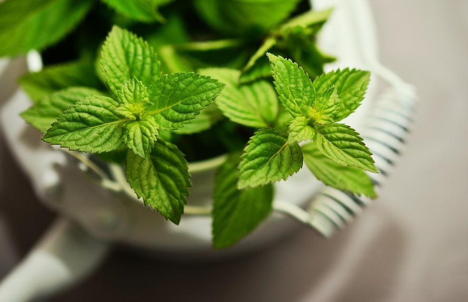 8 powerful benefits of mint leaves you can't ignore
