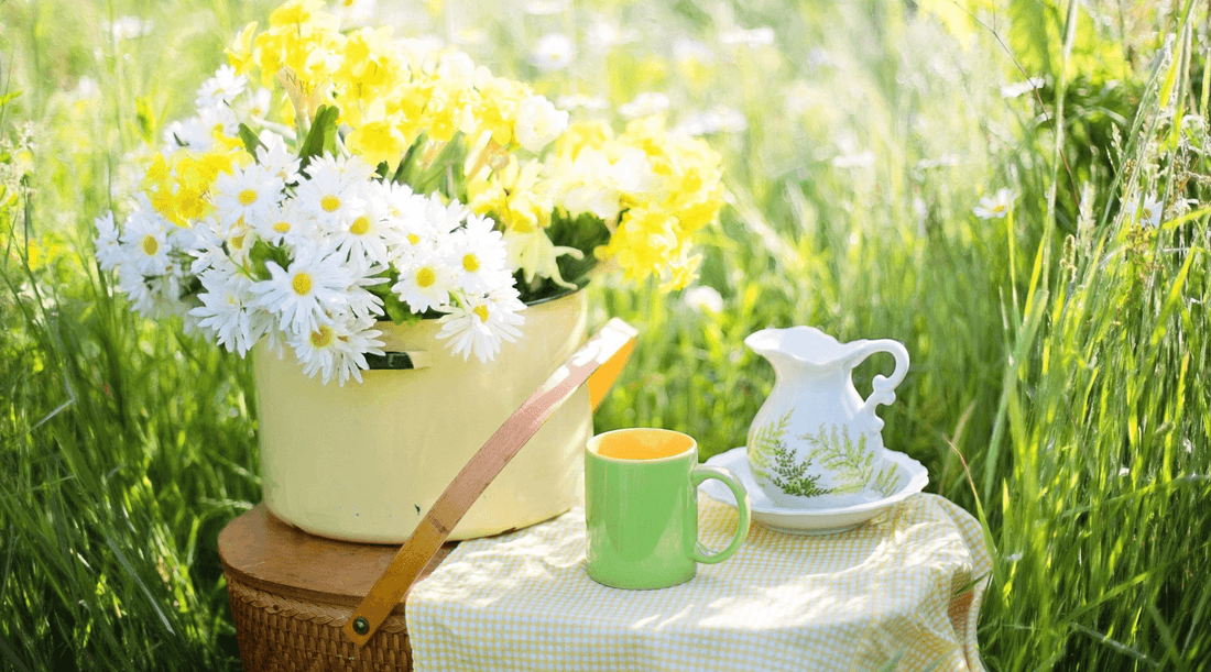 Teas good for allergies, a cup of tea nere a flower pot