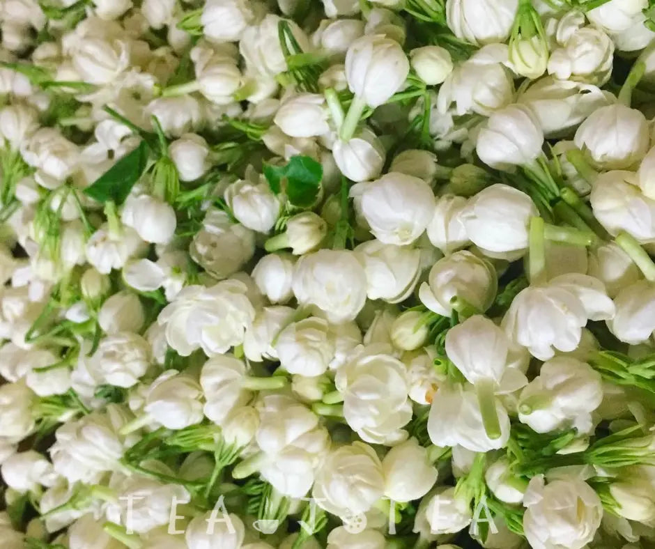 jasmine flower green tea