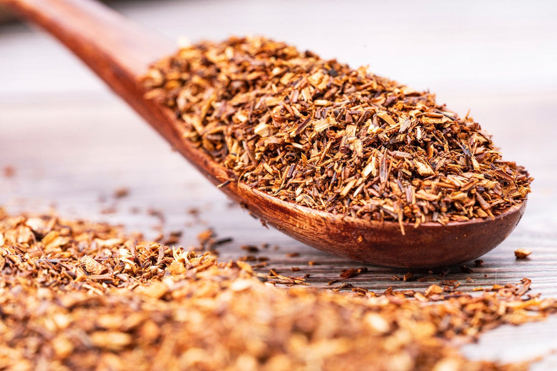 Rooibos Tea: Benefits, Side Effects & Risks
