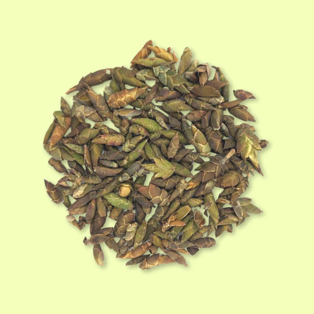 Wild Bud White Tea | Vietnamese Caffeine Free Tea by TeaJTea
