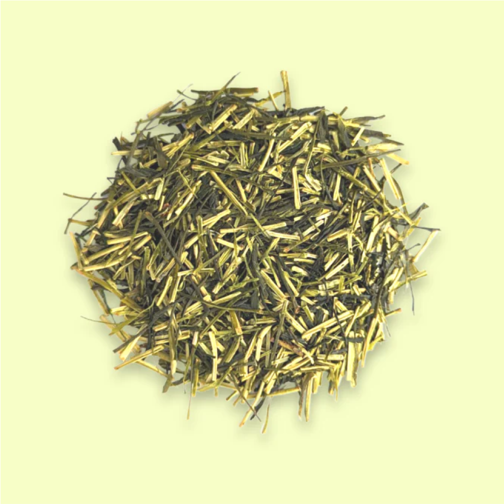 Kukicha Green Tea - Premium Japanese Stem Tea