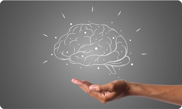 Brain Function