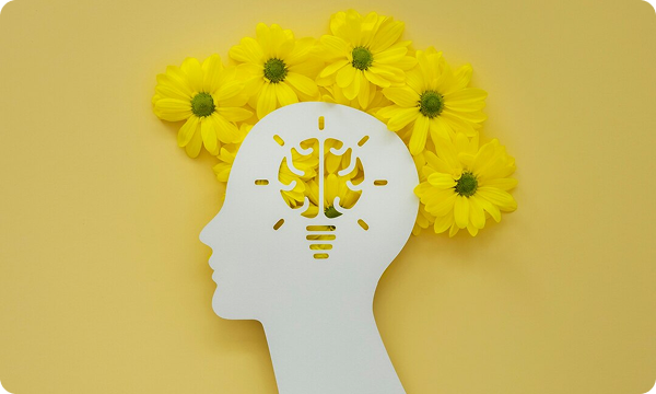 Brain Function Enhancement