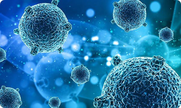 Antioxidant Protection