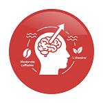 Mental Focus Boost