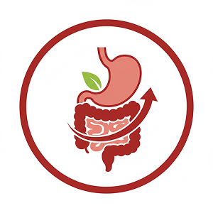 Digestive Comfort