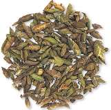Wild Bud (White Tea or Bạch Trà)