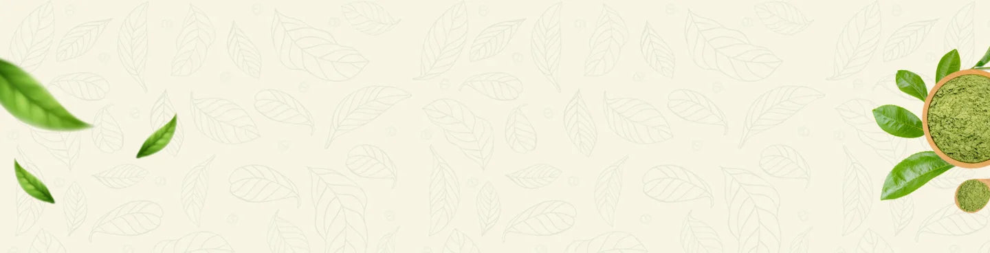 Footer Section Background