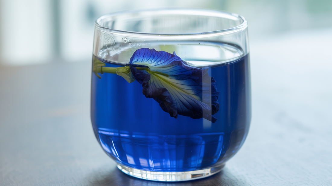Vibrant blue butterfly pea flower tea in a clear glass - butterfly pea tea benefits
