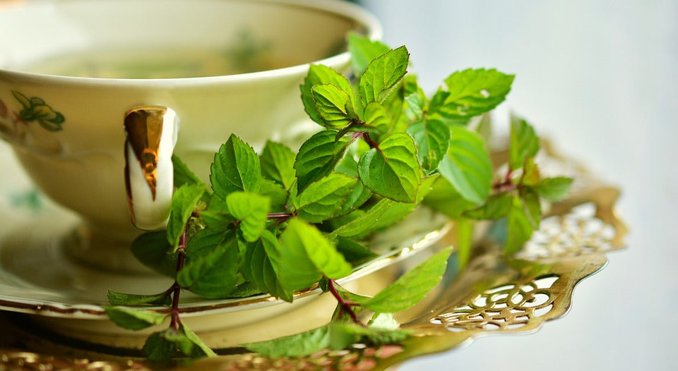 Tips on Peppermint Tea Benefits to Improve Your Health