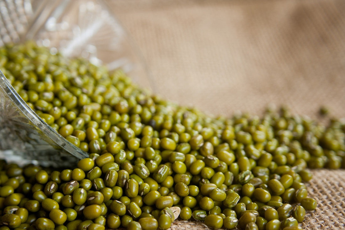 Exploring the Health Benefits and Recipe Ideas for Mung Bean Tea