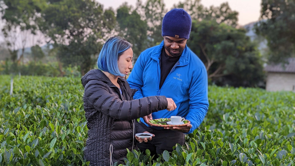 TeaJTea 2025 Vietnam Tea Tour