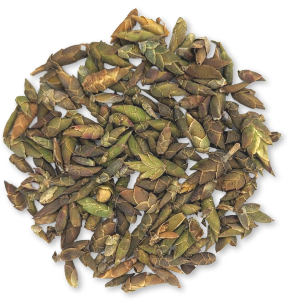 Authentic Teas from Vietnam - Tea J Tea