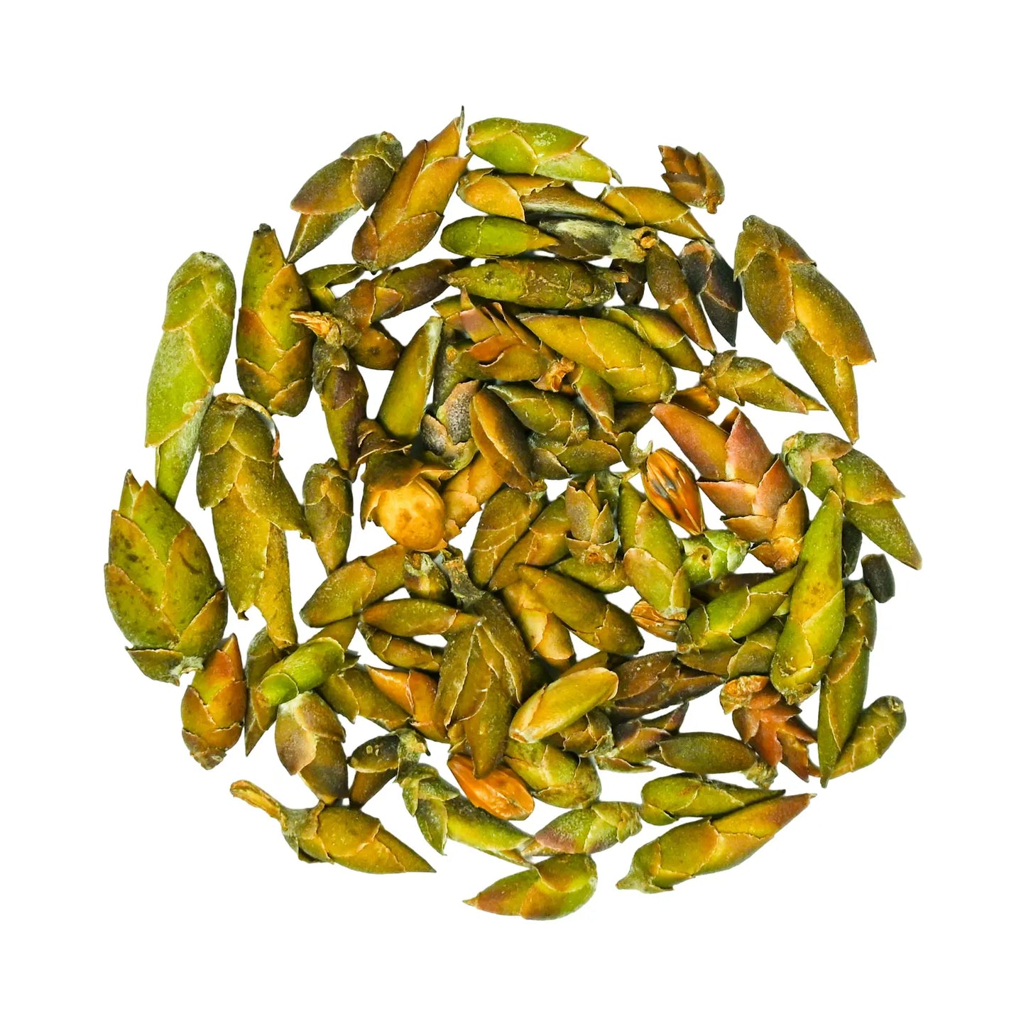 Wild Bud White Tea | Vietnamese Caffeine Free Tea by TeaJTea