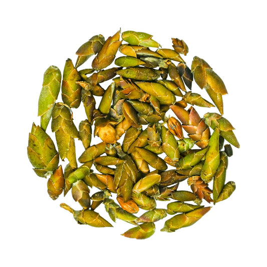 Wild Bud White Tea | Vietnamese Caffeine Free Tea by TeaJTea