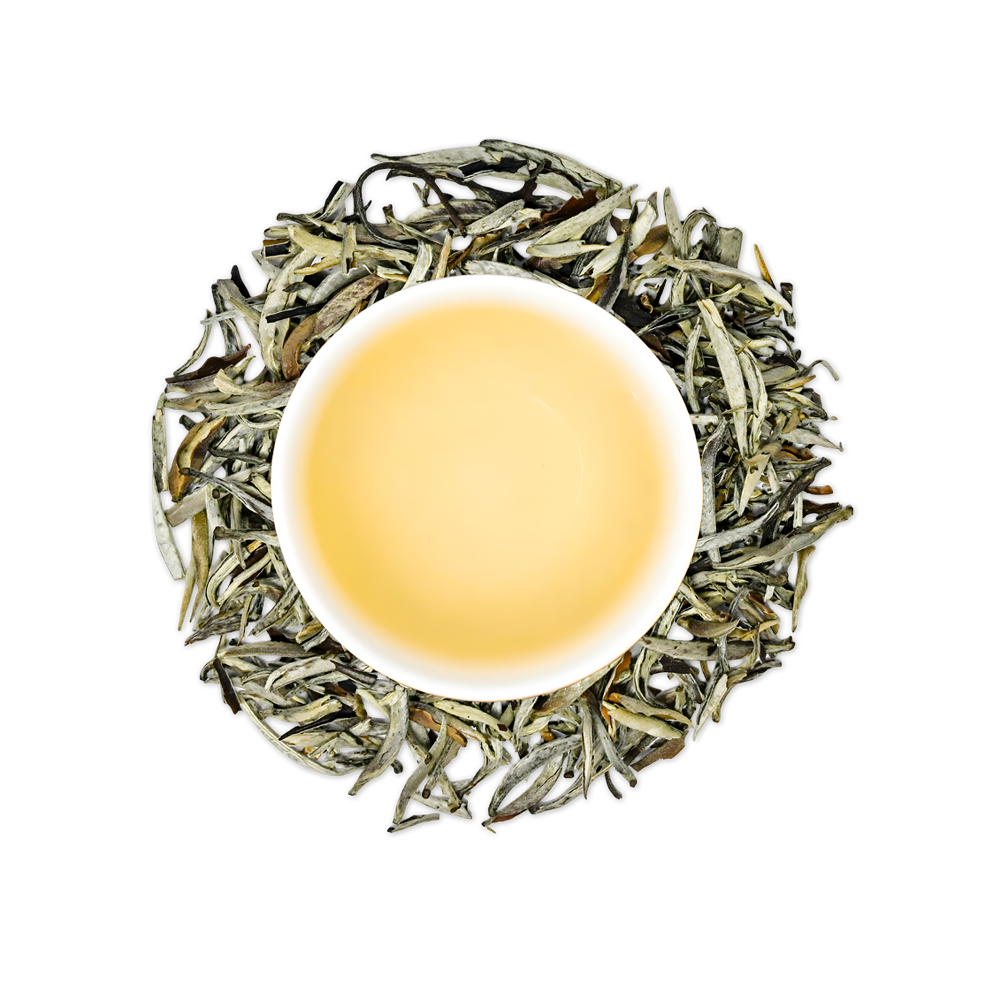 Vietnamese Lotus White Tea – Drink of Kings