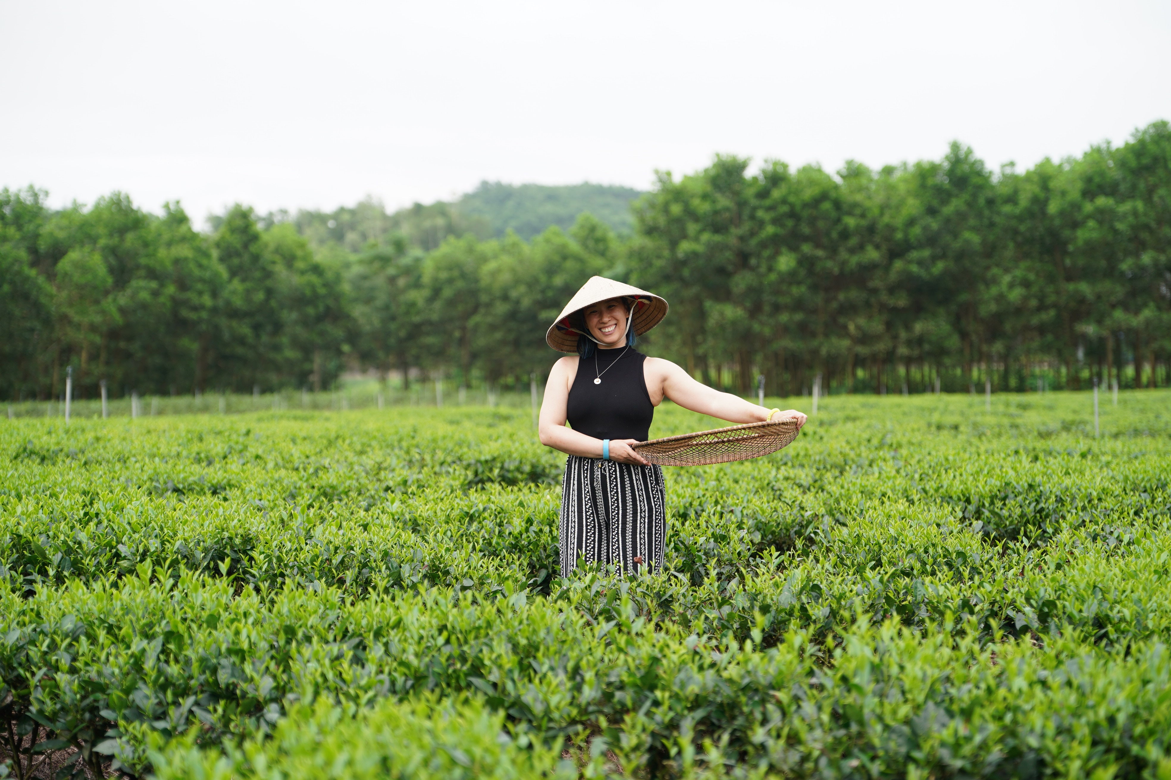 Tea Tours – Discover the Origins of Premium Teas | Tea J Tea