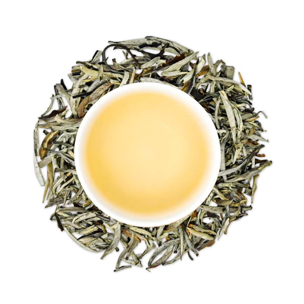 Wild Bud White Tea | Vietnamese Caffeine Free Tea by TeaJTea