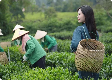 Tea J Tea Women