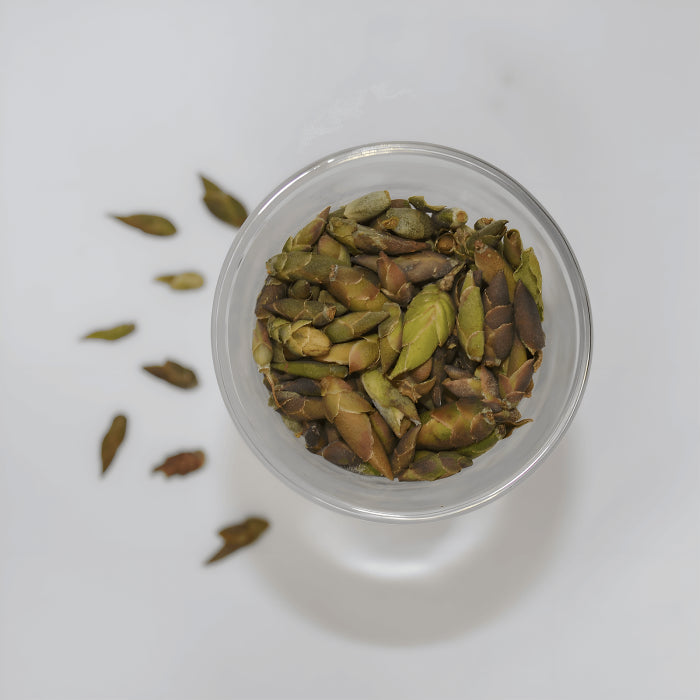 Bean Bud Bliss - Tea J Tea