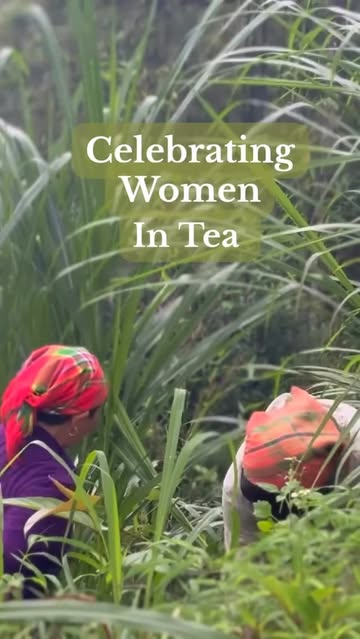 Tea J Tea on Instagram