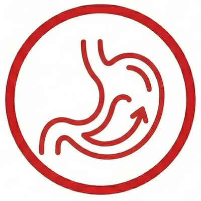 Digestion Aid