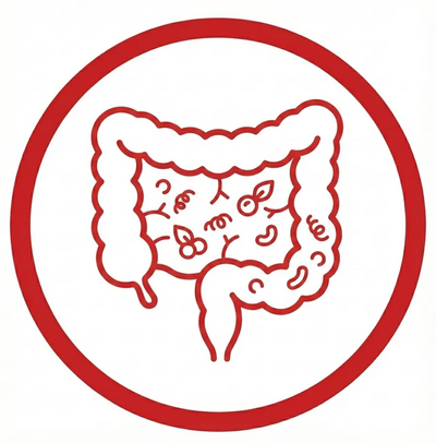 Gut Health