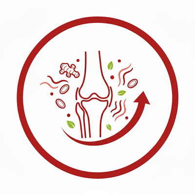 Anti-Inflammatory Support