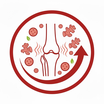 Anti-Inflammatory Support