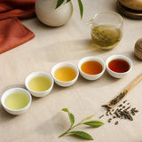 Five porcelain cups of Vietnamese tea in graduated shades beside a glass brewing vessel and loose tea leaves