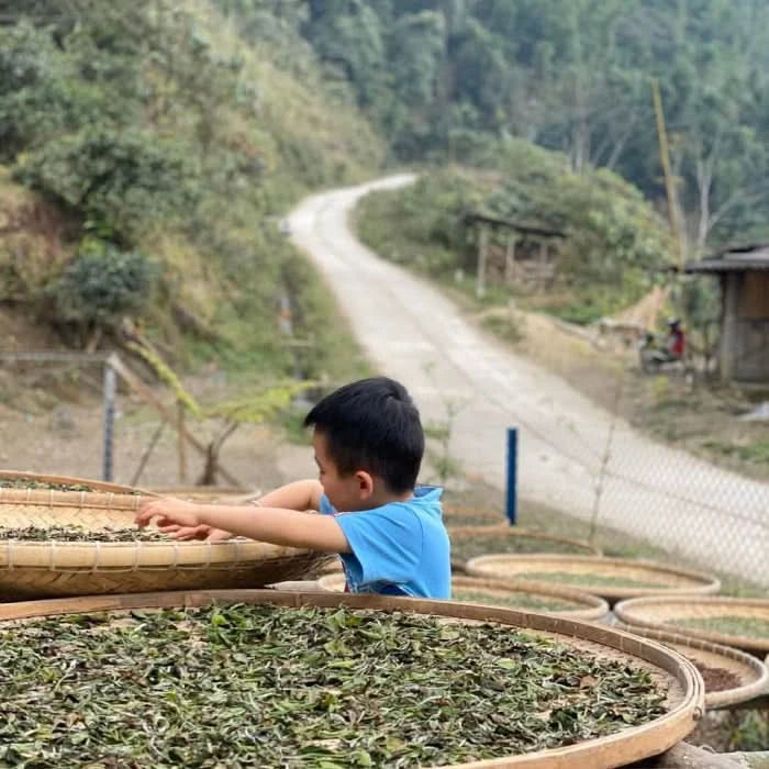 Tea Tour Booking Deposit (Non-Refundable) - Tea J Tea